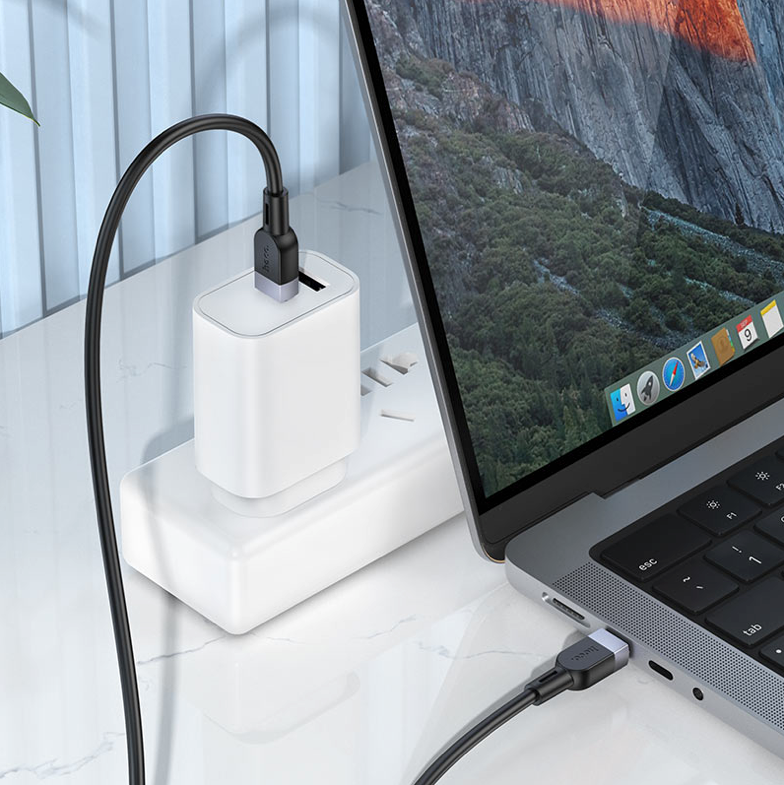 Cable USB-C a USB-C Hoco X109 60W 3M Negro